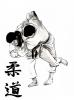 judosport.jpg